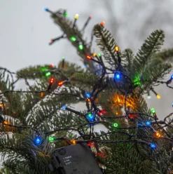 Akku 160 String Light, Multi