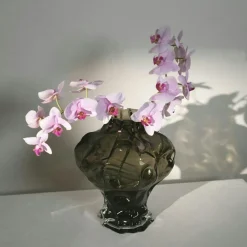 Ammonit Vase 30 cm, Clear