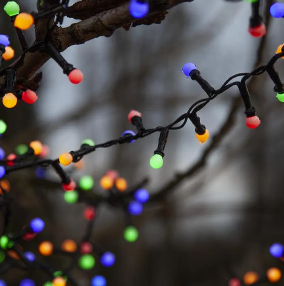 Berry Mini String Light, Multi