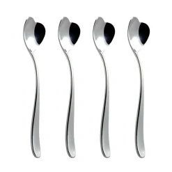Big Love Ice Cream Spoon, Set of 4