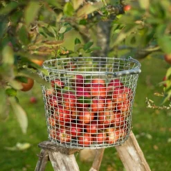 Bucket 16 Basket, Acid Proof Stainless Steel