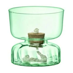 Canopy Self Watering Planter, 13 cm