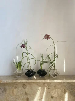 Canyon Mini Vase 8 cm, Clear