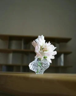 Canyon Mini Vase 8 cm, Clear