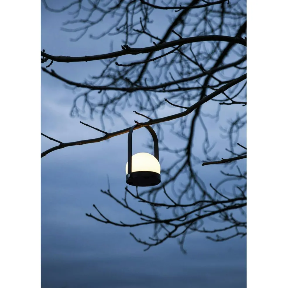 Carrie Lamp, Brushed Brass