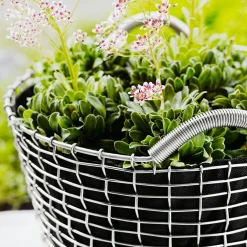 Classic 65 Basket, Acid-Proof Stainless Steel