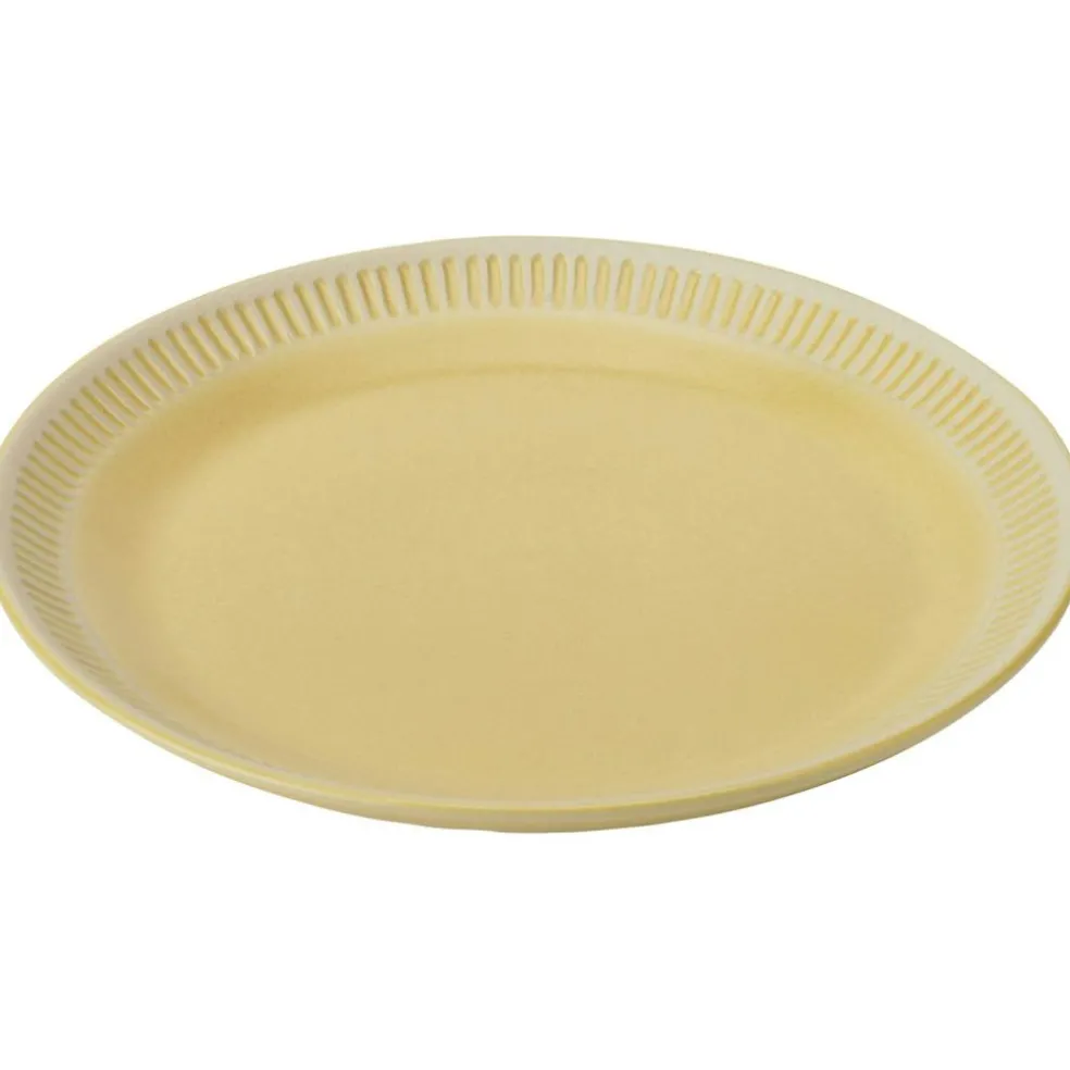 Colorit Plate 19 cm, Rose