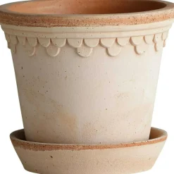 Copenhagen Pot Rose, 16 cm