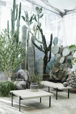 Echo Bonbonniere, 15 cm