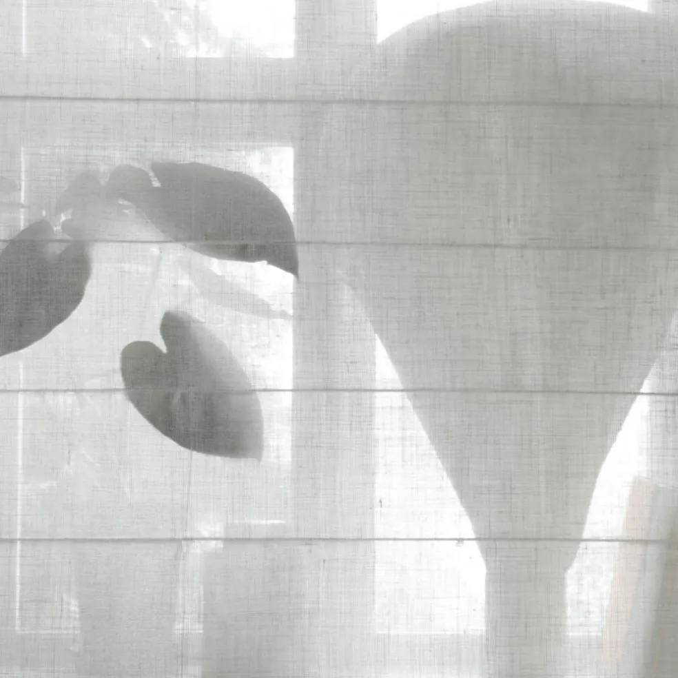 Ellie Roman Blind 160x220 cm, White