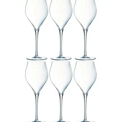 Exaltation Champagne Glass 30 cl Transparent, 6-pack