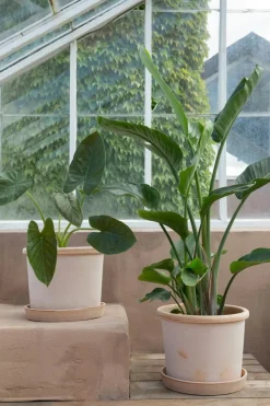 Galestro Pot With Saucer Grey Ø30 cm