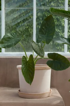 Galestro Pot With Saucer Grey Ø30 cm