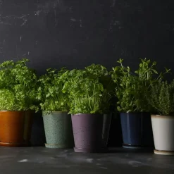 Gastro Pot With Saucer Ø14 cm, Black/Green