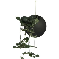 Globe Hanging Pot Ø17x28 cm, Black