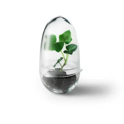 Grow Greenhouse XL, Clear