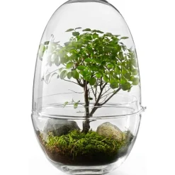 Grow Greenhouse XL, Clear