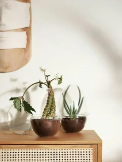 Grow Greenhouse XL, Clear