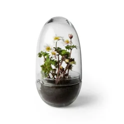 Grow Greenhouse XL, Clear