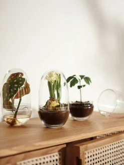 Grow Greenhouse XL, Clear