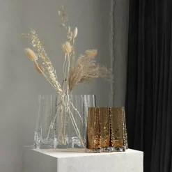 Gry Wide Vase H24 cm, Clear