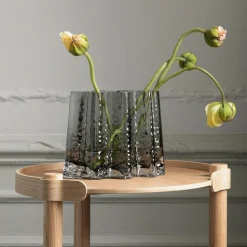 Gry Wide Vase H24 cm, Clear