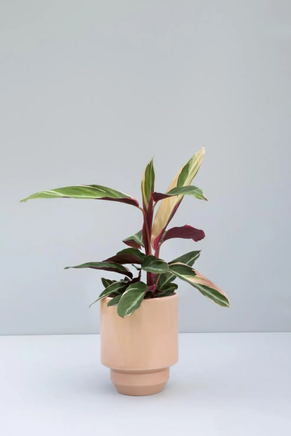 Hoff Pot Without Drainage Holes 14 cm, Emerald Green