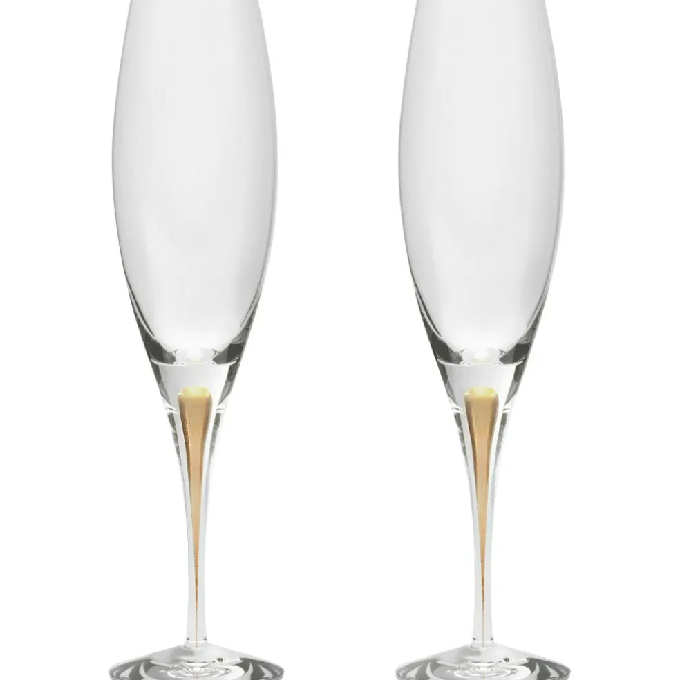 Intermezzo Champagne Glass 2-pack 26 cl, Gold