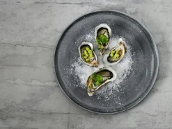 MSY Plate 25 cm, Grey