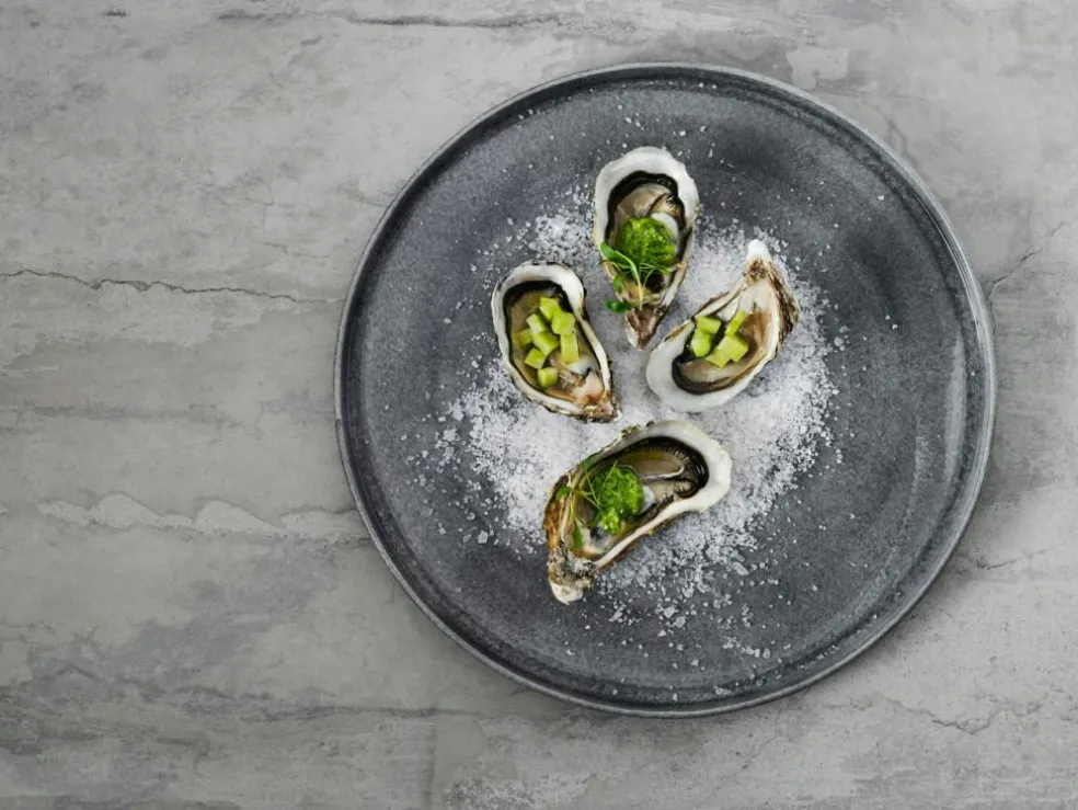 MSY Plate 25 cm, Grey