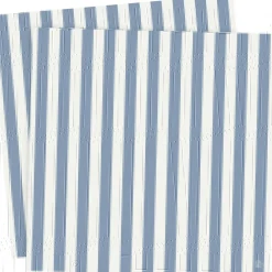 Napkins 33x33 cm 2-pack, White/Light Blue