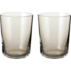 New York Water Glasses 2-pack, Copal