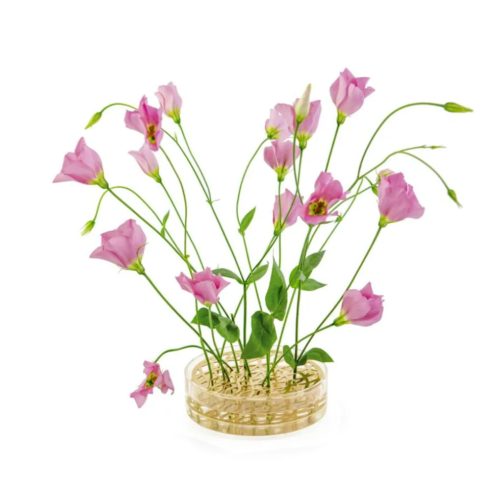 Äng Vase Pond, Brass