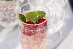 Picknick Glass High With Foot Acrylic 4-pack, Clear