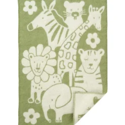 Picnic Plaid 65x90 cm, Green