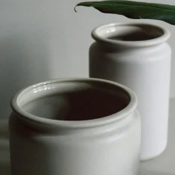 Pure Pot Medium, Mole