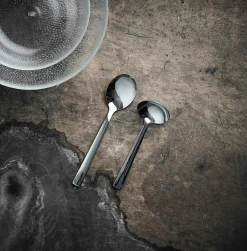 Raw Sauce Ladle & Serving Spoon, Black