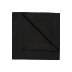 Robert Napkin 45x45 cm 4-pack, Light Ice Green