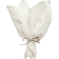 Sienna Napkin 45x45 cm 2-pack, Taupe