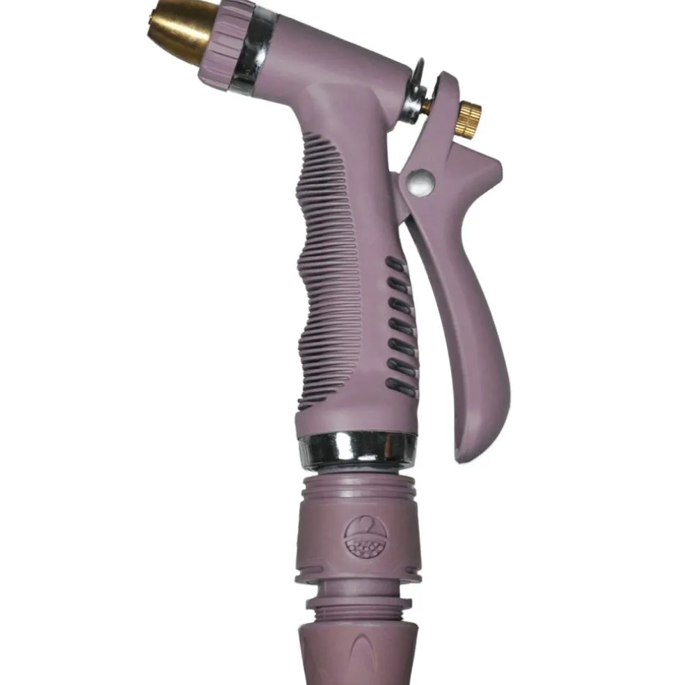 Spray Gun, Black Swan