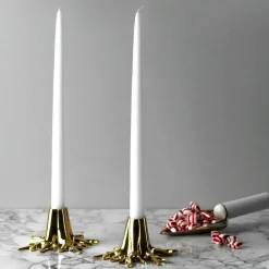 The Root Candle Holder, Solid Brass