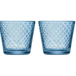 Tundra Glass 29 cl 2-pack, Clear
