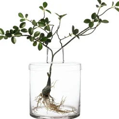 Vase With Lid H21 cm