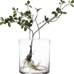 Vase With Lid H21 cm