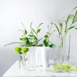 Aalto Vase 16 cm, Clear