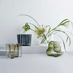 Aalto Vase 16 cm, Clear