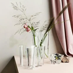 Alvar Aalto Vase Gift Set Clear