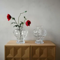 Ammonit Vase 30 cm, Clear