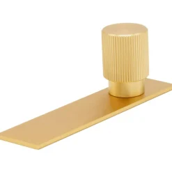 Arpa Knob With Plate 22 mm, Stainless Look