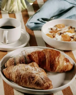 BON Starter Set 16-pack, Steam